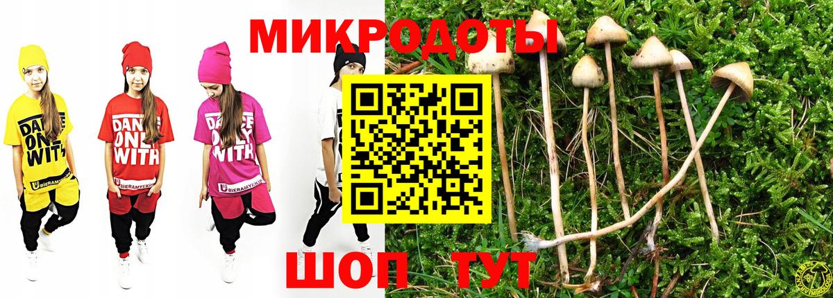 Кулебаки  Псилоцибиновые грибы Magic Shrooms  Вход с VPN 